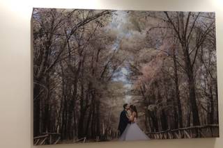 Pappone Photo - 5