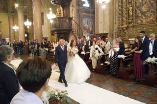 Fioreria OltreilVerde - 8