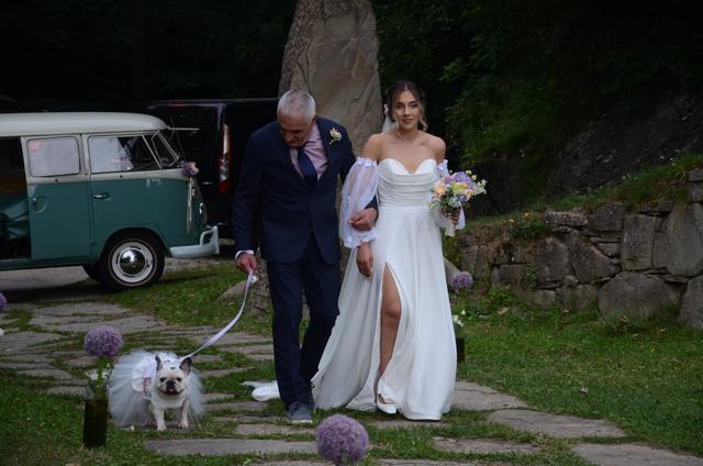 BowPawTie Accessori per Cani - 3