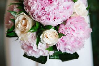 Dots Collective - 12