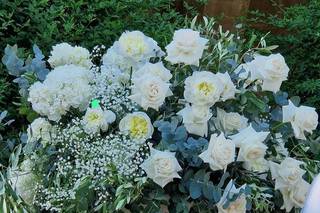 Dama Fiori - 6
