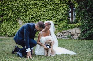 JL Dog Sitter for wedding - 14