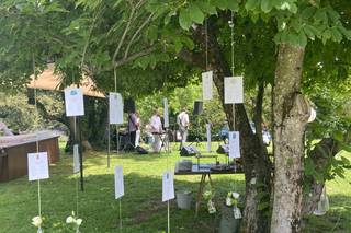 Villa Monte Morone - 13