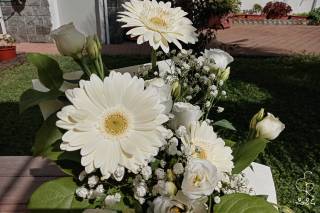 L'Albero della Vita - 7