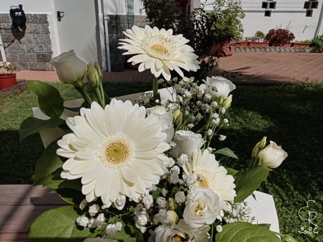 L'Albero della Vita - 3