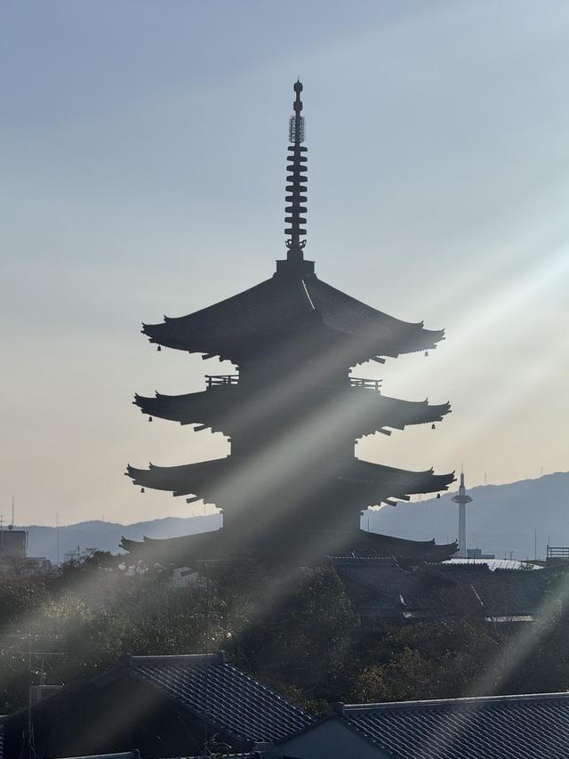 Giramondo Viaggi Molfetta - Terlizzi - 3