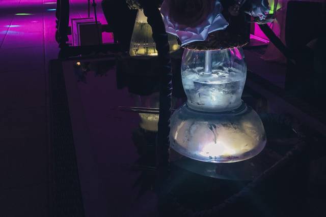 Zing Shisha - Servizio narghilè 3