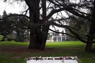 I Fiori della Corte - 13