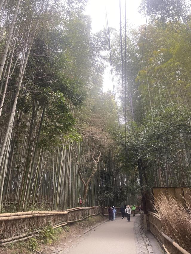 Giramondo Viaggi Molfetta - Terlizzi - 2