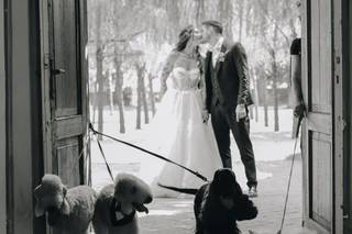 Oh my dog wedding - 5