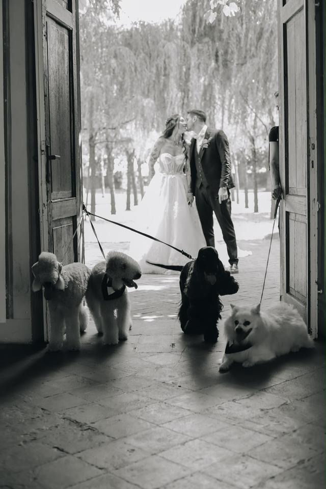 Oh my dog wedding - 1