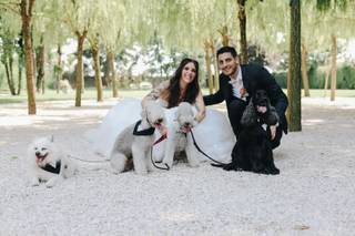 Oh my dog wedding - 6