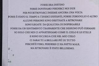 Arianna Caniati - Graphic & Web Designer - 17