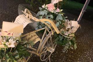 Mary Pianobar e Animazione - 2