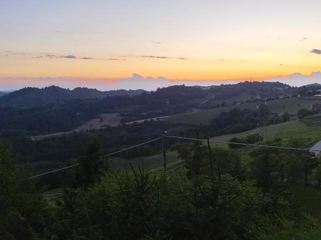 Vecchio Castagno - 4