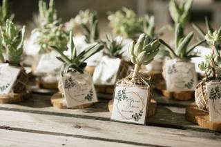 Fokus Studio Lab - 15