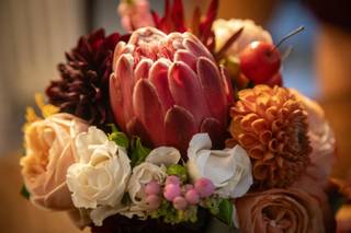 Tamara Boscaino Fotografie - 8