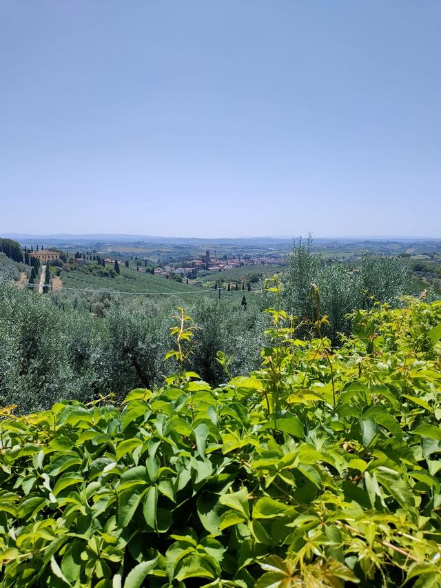 Villa Il Ferrale By Castello Ricevimenti - 2