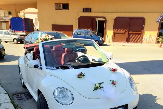 CCM Wedding Car 4