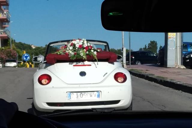 CCM Wedding Car 5