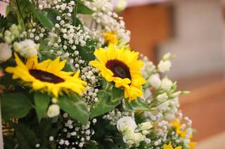 Gian Mario Pirovano Fiori e Piante - 7