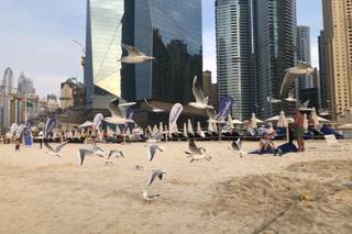 Skorpion Travel - 12