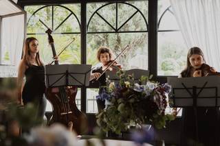 Freak Out String Quintet - 3