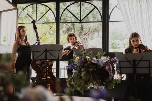 Freak Out String Quintet - 1
