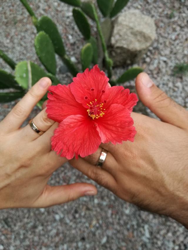 Klepto Gioielli - 2