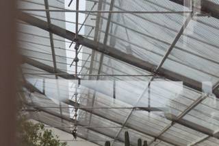 Ftrephoto - 17