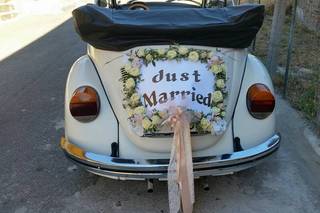 Foto Video Lammirato - 7