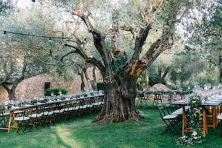 Unique Events in Tuscany - 10