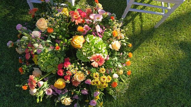 Farenella Fiori - 3