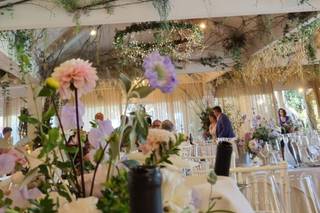 Profumo di Fiori - 7