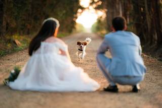 Lorenzo Di Tommaso - 7