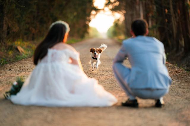 Lorenzo Di Tommaso - 3