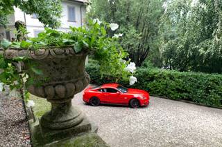 Stefano Del Quarto - Noleggio Mustang - 10