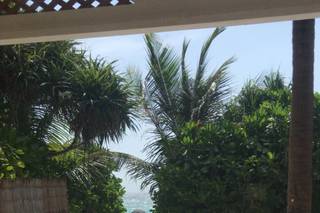 Banfield Travel - 11