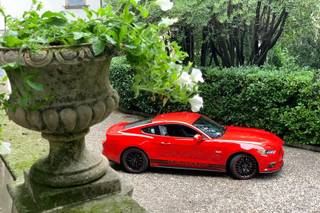 Stefano Del Quarto - Noleggio Mustang - 11