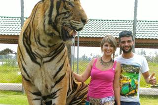 Portobello Travel - 13