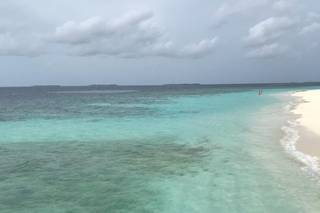 Banfield Travel - 12