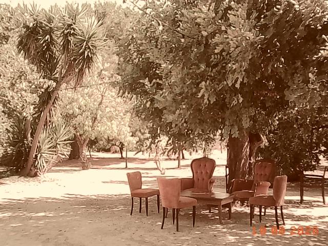 Fuori Classe Catering - 3