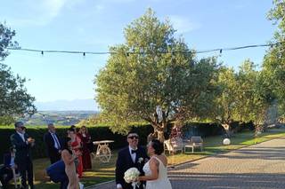 Tenuta Contessa - 14