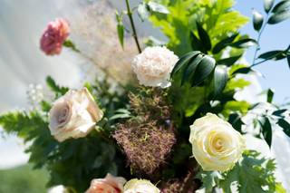 Dall'Aglio Mara - 5