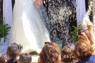 La Mimosa Piante e Fiori - 1