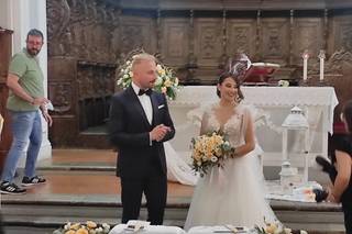 La Mimosa Piante e Fiori - 2