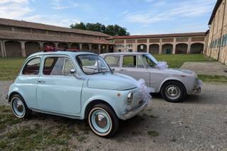 The Wedding Beetle - 20