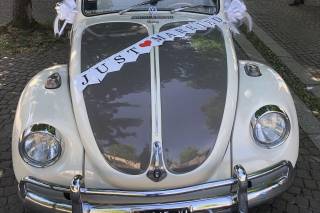 Le Auto di Magnolia - 18