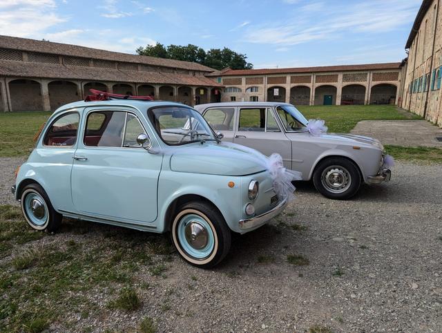 The Wedding Beetle - 4