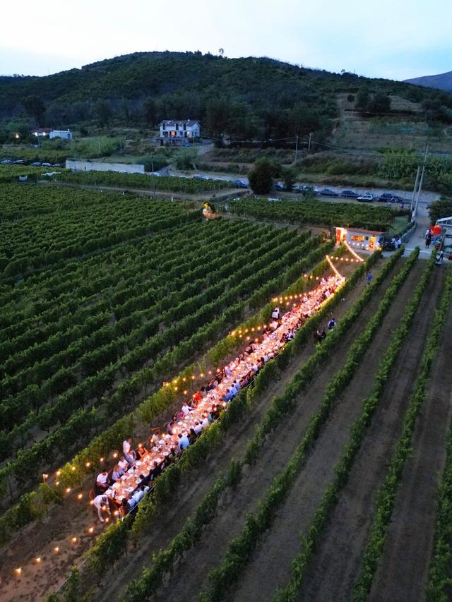 Dell'Erba Azienda Agricola - 2